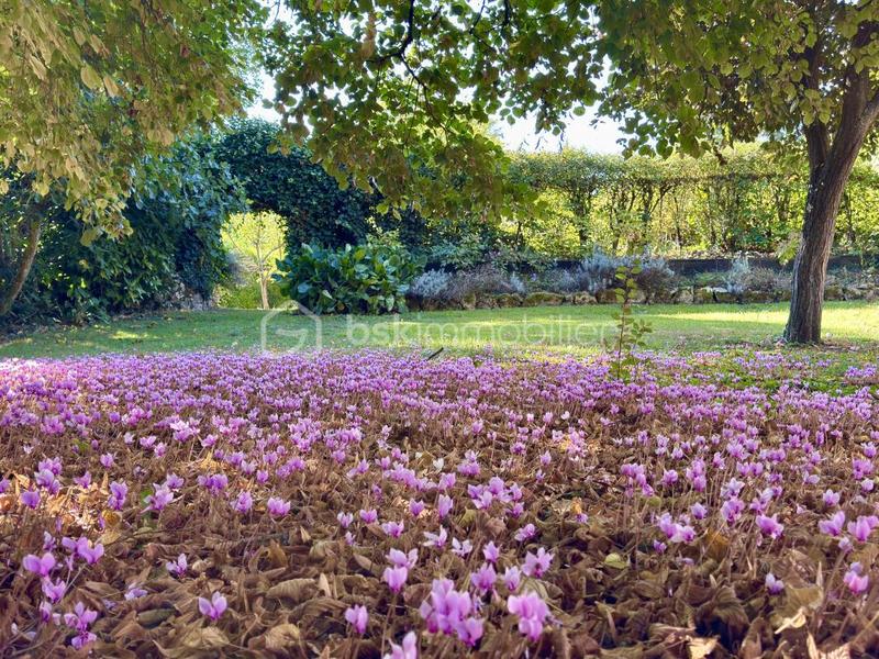 Maison en pierre - 333 m² - 11 pièces