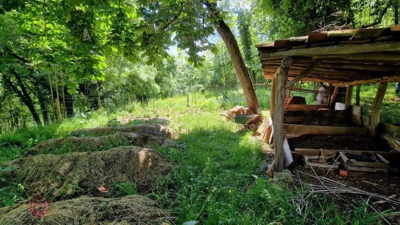 Propriété - 300 m² - 8 pièces