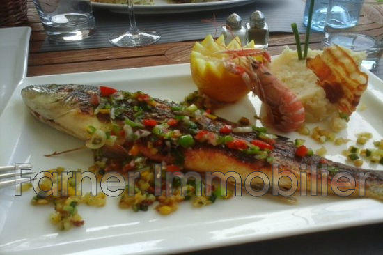 Fonds de commerce - Magasins - 80 m²