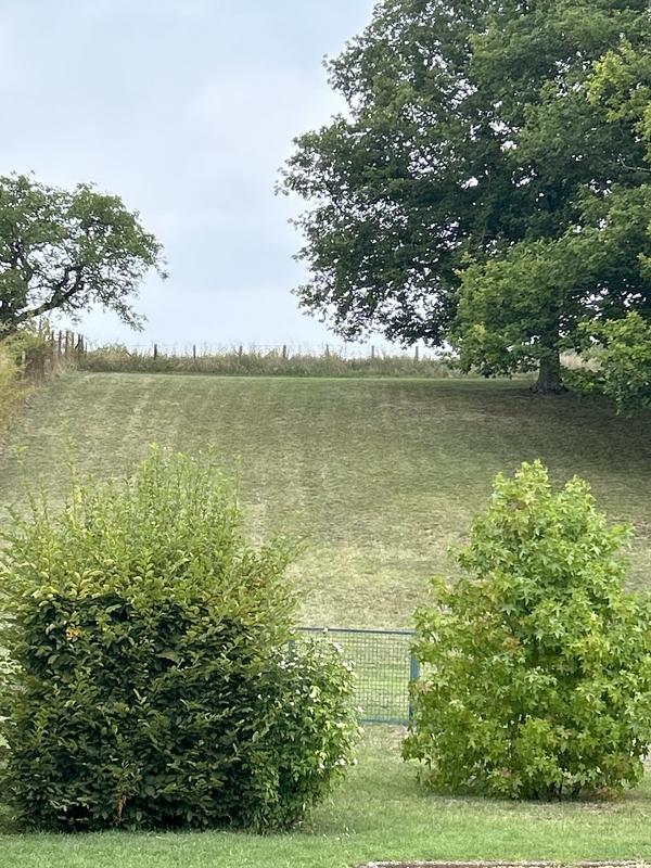 Maison - 270 m² - 10 pièces