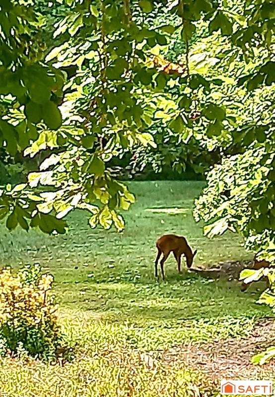 Maison - 204 m² - 8 pièces