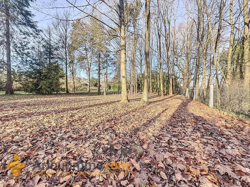 Maison - 230 m² - 10 pièces