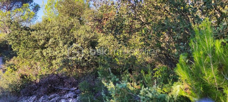 Terrain de loisirs - 2 241 m²