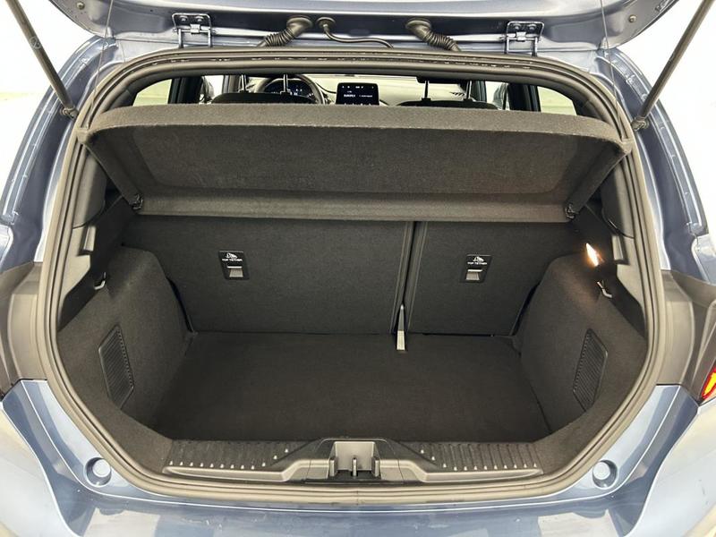 Ford Fiesta 1.0 Flexifuel 95 ch s&amp;S Bvm6 Titanium Business 5p