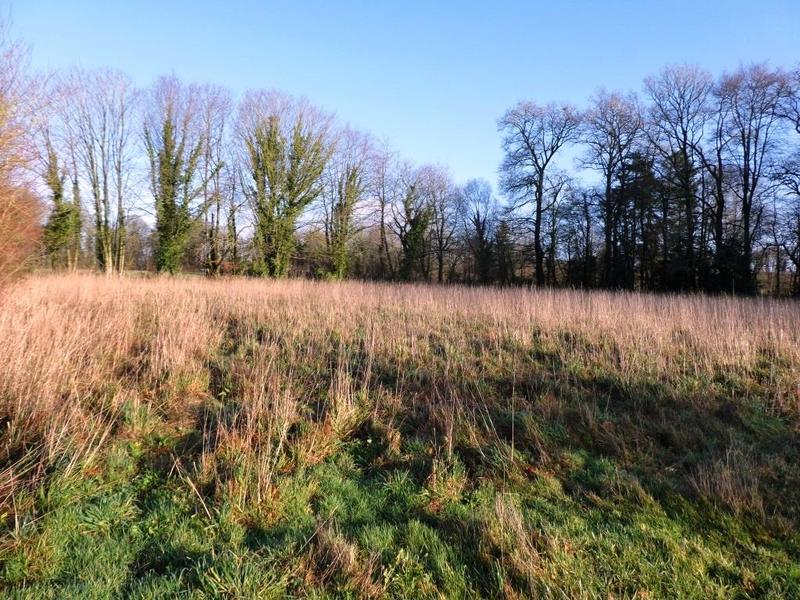 Terrain agricole - 4 900 m²