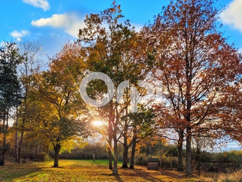 Maison - 156 m² - 6 pièces