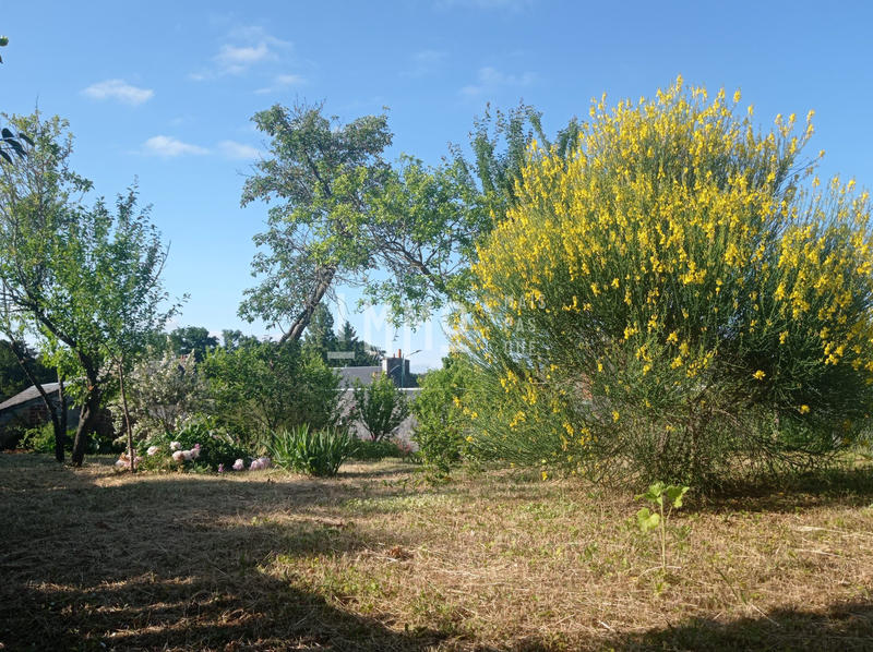 Maison - 126 m² - 6 pièces