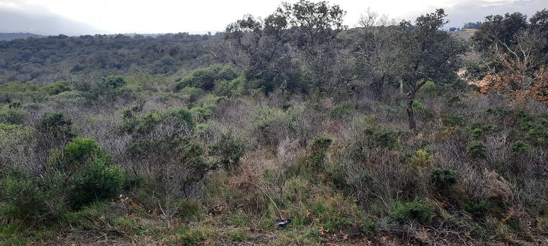 Terrain de loisirs - 10 625 m²