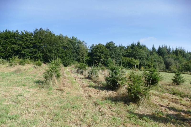 Maison - 30 m² - 2 pièces