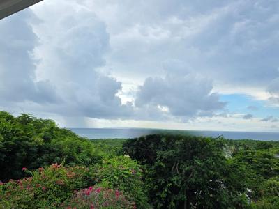 Maison d'architecte - 256 m² - 6 pièces