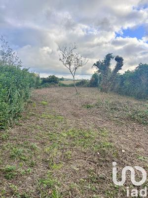 Maison - 70 m² - 3 pièces