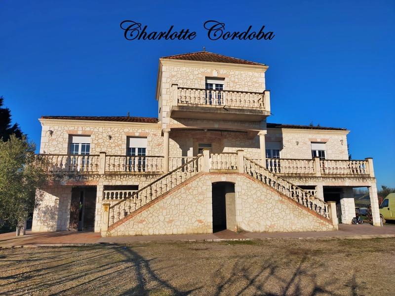 Maison - 233 m² - 8 pièces