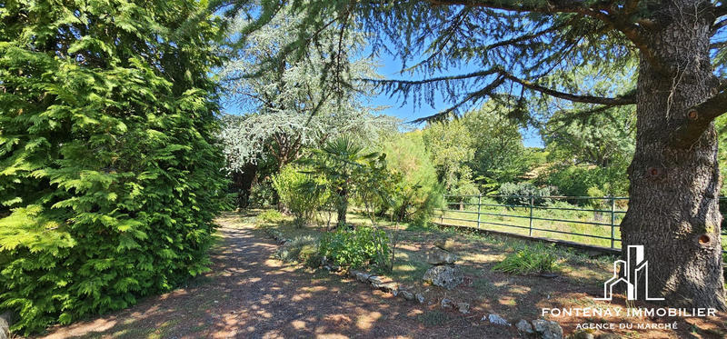 Maison ancienne - 147 m² - 6 pièces