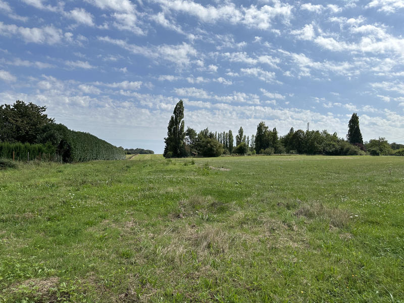 Terrain - 1 000 m²