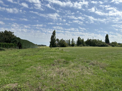 Terrain - 1 000 m²