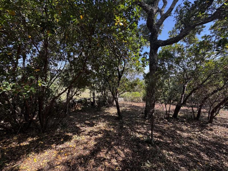 Terrain constructible - 1 490 m²