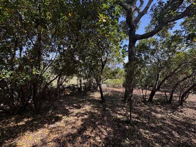 Terrain constructible - 1 490 m²