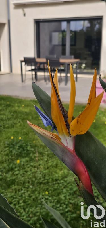 Maison - 320 m² - 9 pièces