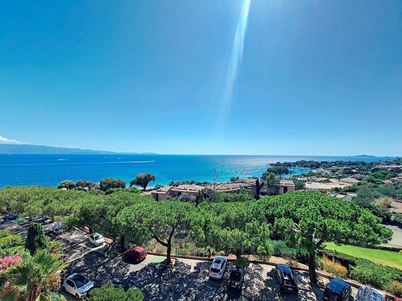 Appartement - 31 m² - 1 pièce