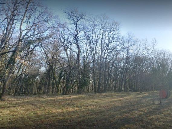 Manoir - 2 000 m² - 30 pièces