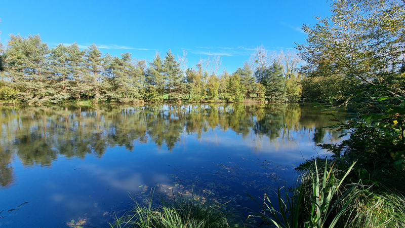 Étang - 37 600 m²