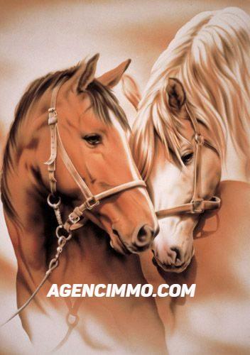 Fonds de commerce - 30 000 m²