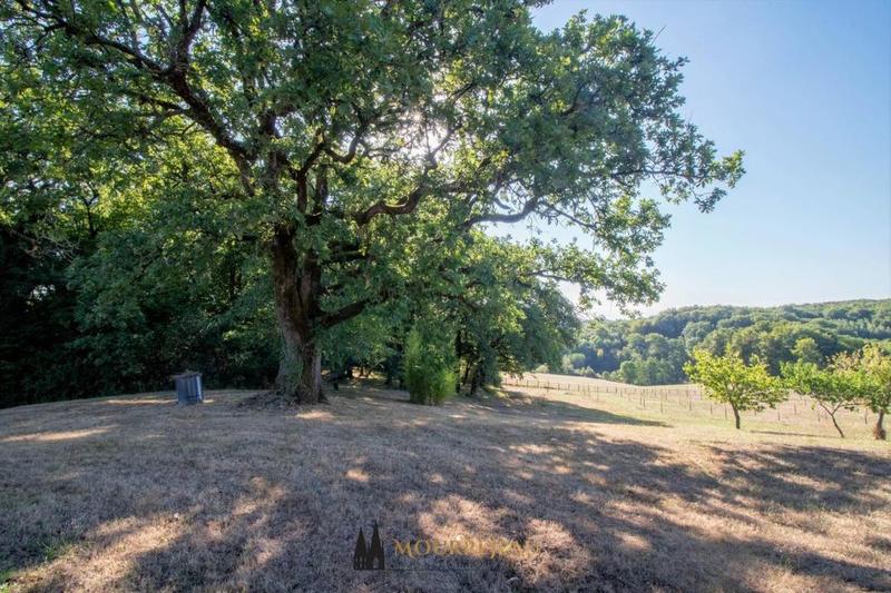 Propriété - 260 m² - 11 pièces