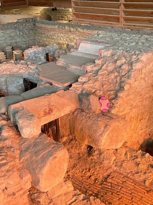 Chasse aux œufs de Pâques - safari de printemps