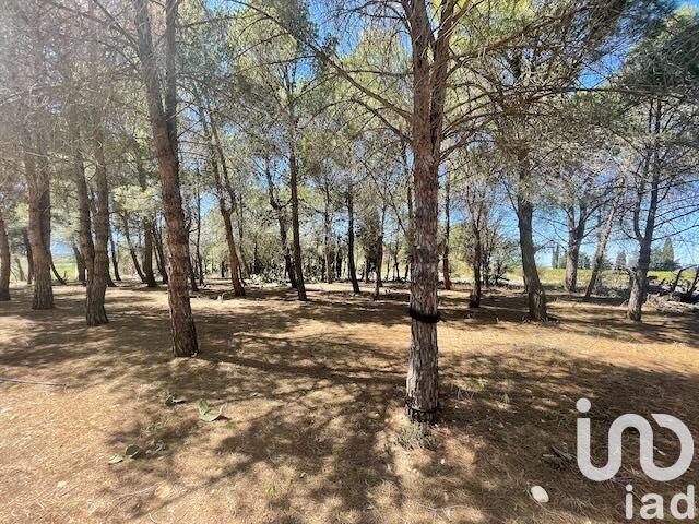 Terrain - 13 930 m²