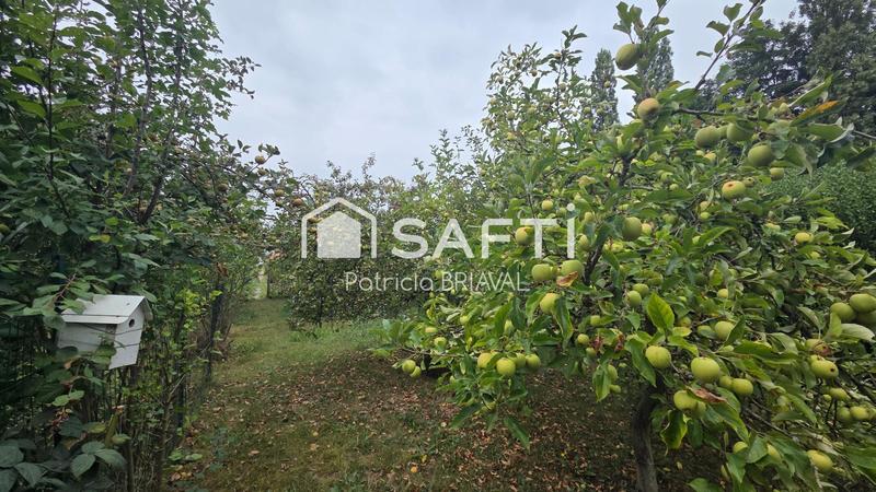 Maison de village - 100 m² - 5 pièces