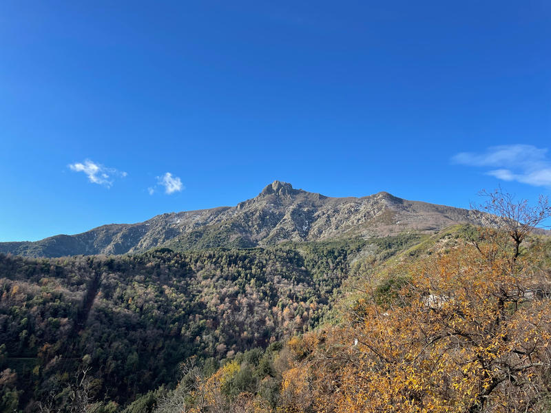 Maison de village - 60 m² - 3 pièces