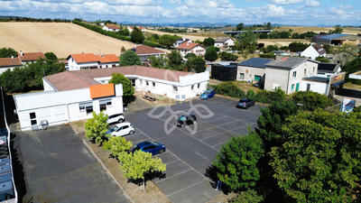 Bureau - 250 m² - 7 pièces