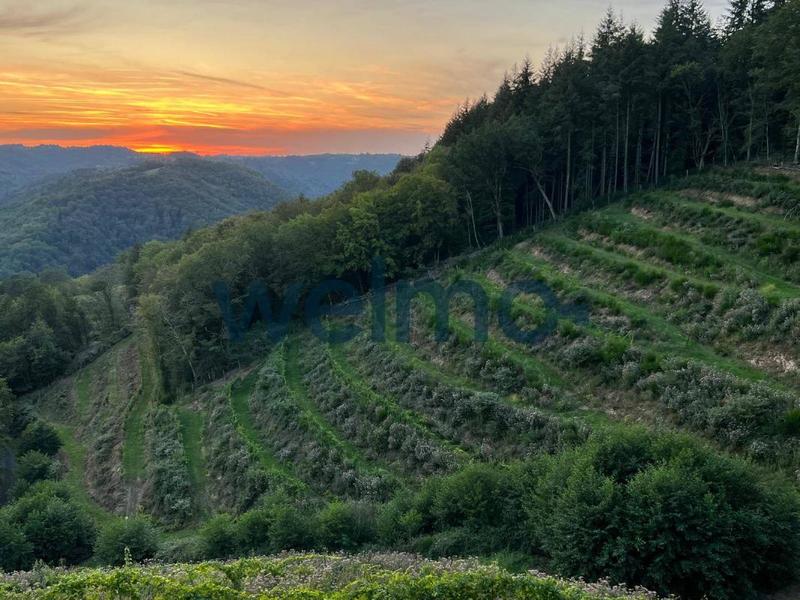 Maison - 150 m² - 3 pièces