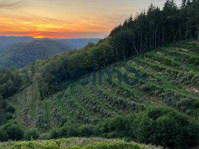 Maison - 150 m² - 3 pièces