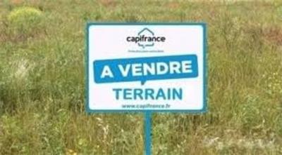 Terrain constructible - 2 598 m²