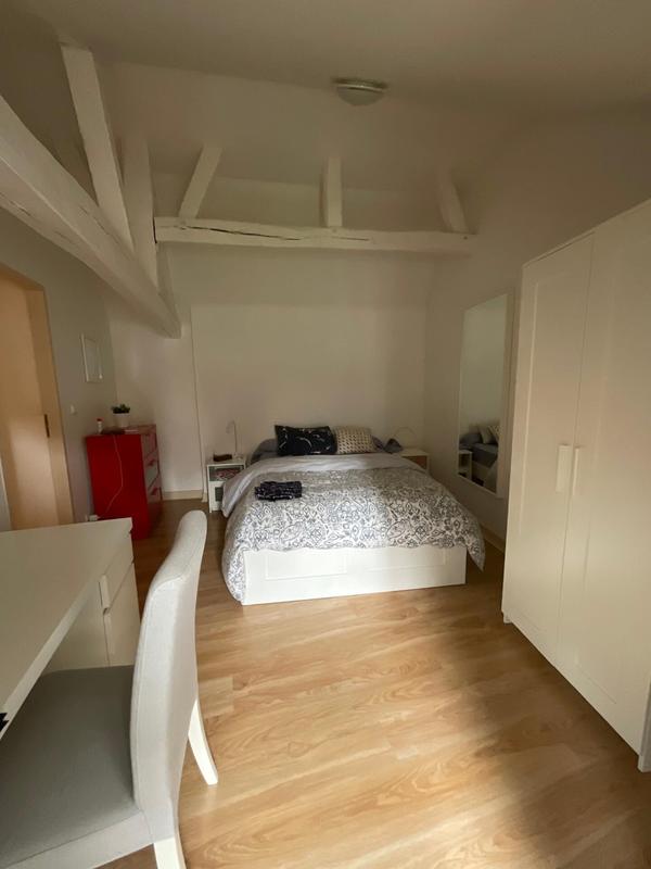 Hôtel particulier - 550 m²