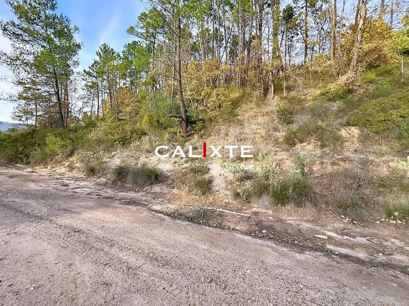 Terrain agricole - 17 980 m²