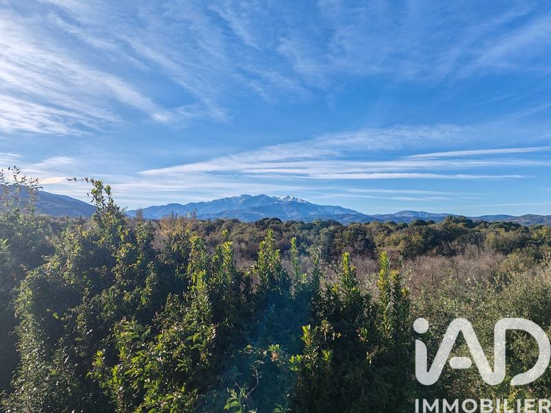 Maison - 290 m² - 8 pièces