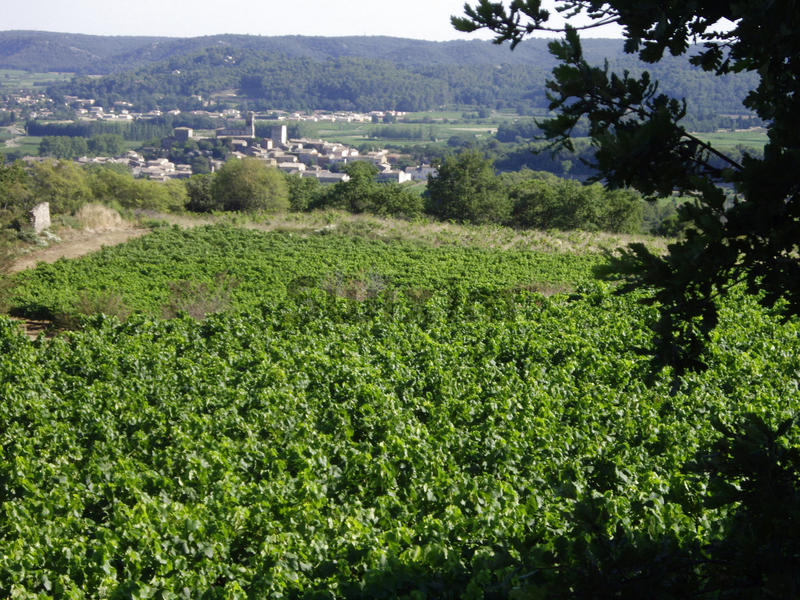 Mas - 302 m² - 11 pièces