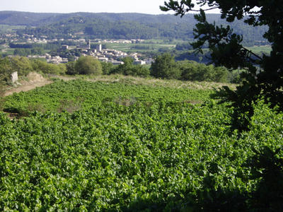 Mas - 302 m² - 11 pièces