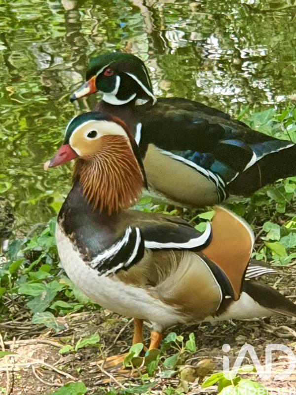 Appartement - 84 m² - 4 pièces