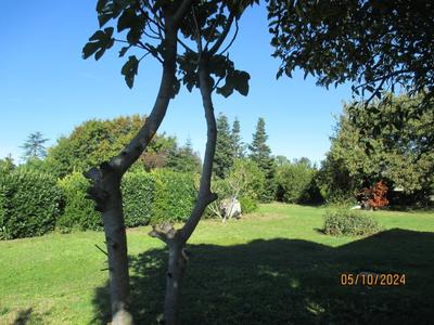 Maison - 186 m² - 8 pièces