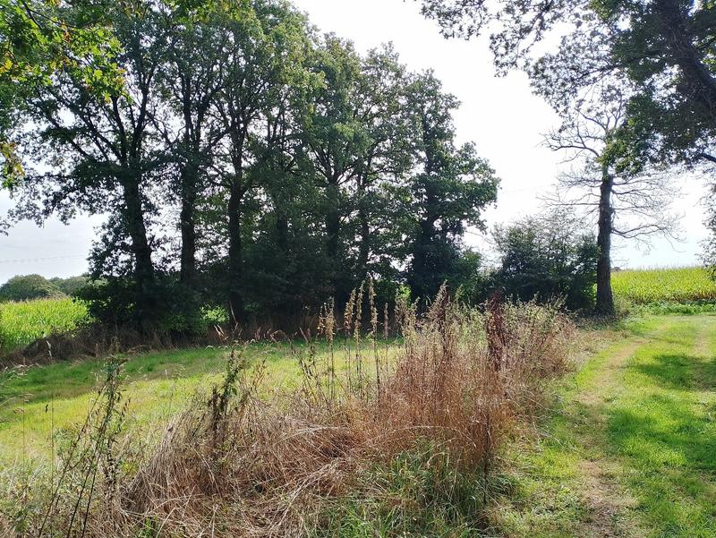 Maison - 63 m² - 2 pièces