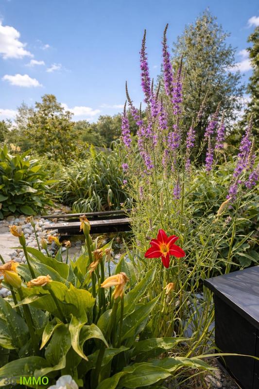 Maison contemporaine - 142 m² - 6 pièces