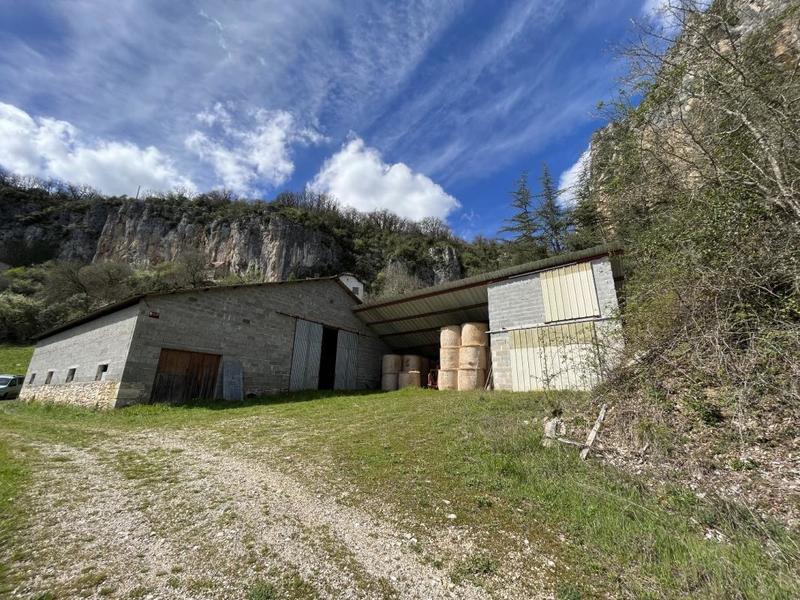 Local d'activité / Entrepôt - 372 m² - 1 pièce