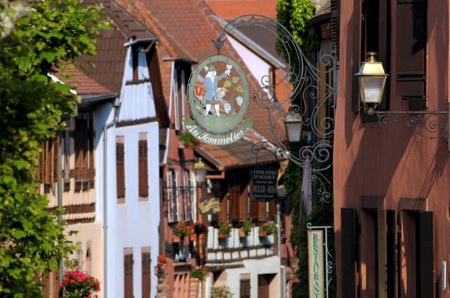 Visite commentée du Sentier viticole de Bergheim