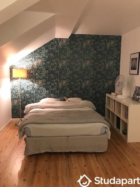 Chambre - 40 m² - 1 pièce
