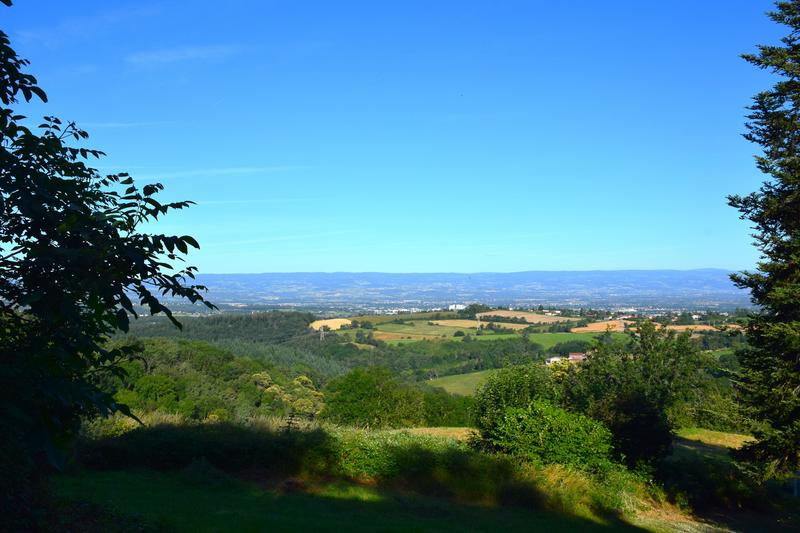 Terrain constructible - 1 245 m²