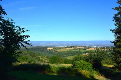 Terrain constructible - 1 245 m²