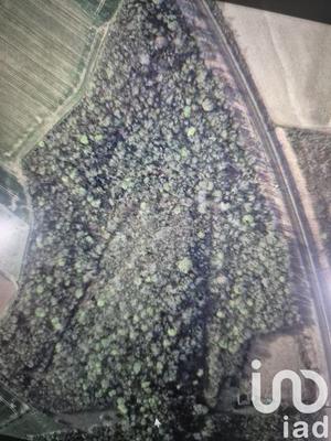 Terrain - 137 452 m²